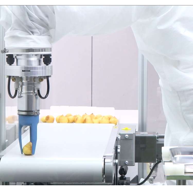 Lengan Robot CNC 6-Axis dengan - Linear Guide Rail ulasan dan harga